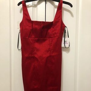 Red Calvin Klein Dress